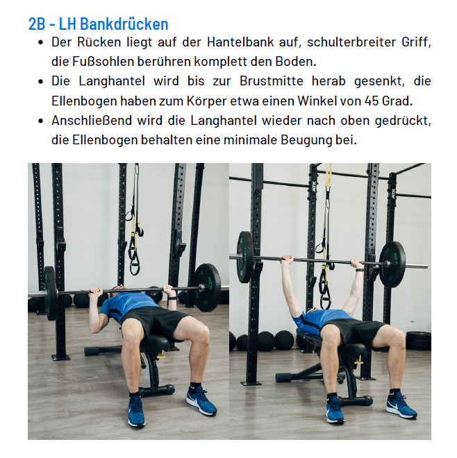 UP-Trainingsprogramm | UP1.0 - UP3.0